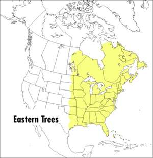 A Peterson Field Guide To Eastern Trees: Eastern United States and Canada, Including the Midwest de George A. Petrides