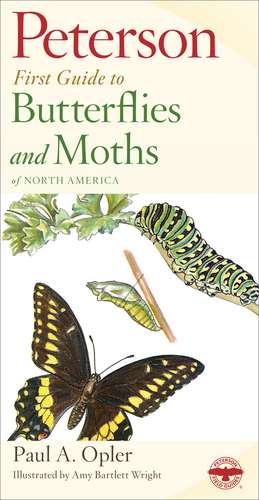 Peterson First Guide To Butterflies And Moths de Paul A. Opler