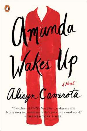 Amanda Wakes Up de Alisyn Camerota