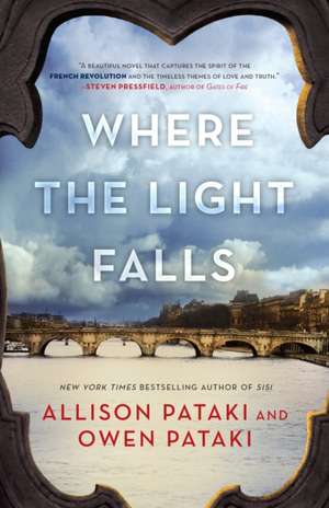 Where the Light Falls de Allison Pataki