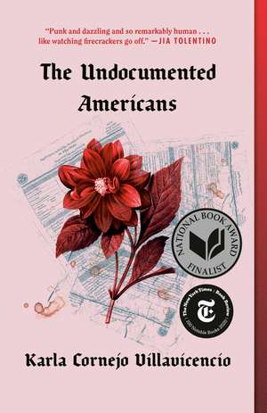 The Undocumented Americans de Karla Cornejo Villavicencio