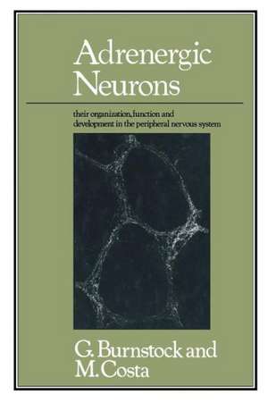 Adrenergic Neurons: Their Organization, Function and Development in the Peripheral Nervous System de Geoffrey Burnstock and Marcello Costa