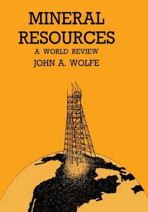 Mineral Resources a World Review de John A. Wolfe