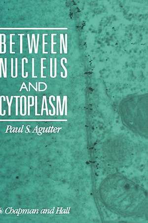 Between Nucleus and Cytoplasm de Paul Agutter