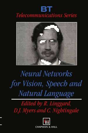 Neural Networks for Vision, Speech and Natural Language de Robert Linggard