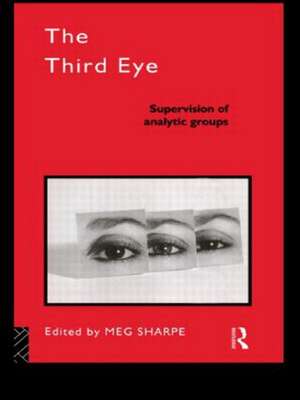 The Third Eye: Supervision of Analytic Groups de Meg Sharpe