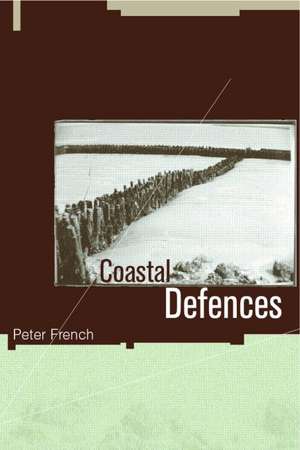 Coastal Defences: Processes, Problems and Solutions de Peter W. French