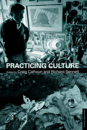 Practicing Culture de Craig Calhoun