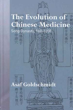 The Evolution of Chinese Medicine: Song Dynasty, 960–1200 de Asaf Goldschmidt