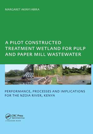 A Pilot Constructed Treatment Wetland for Pulp and Paper Mill Wastewater: Performance, Processes and Implications for the Nzoia River, Kenya, UNESCO-IHE PhD de Margaret Akinyi Abira