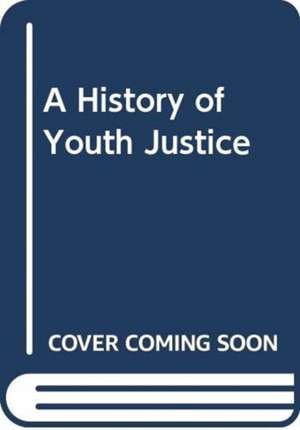 A History of Youth Justice de Neal Hazel