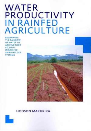 Water Productivity in Rainfed Agriculture: Redrawing the Rainbow of Water to Achieve Food Security in Rainfed Smallholder Systems de Hodson Makurira