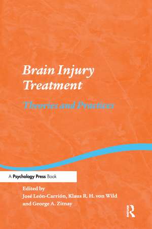 Brain Injury Treatment: Theories and Practices de Jose Leon-Carrion