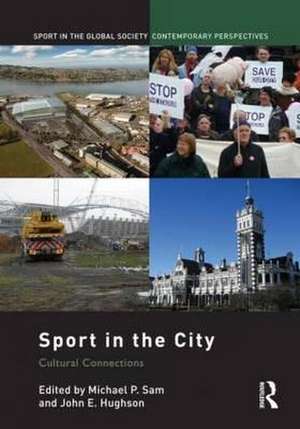 Sport in the City: Cultural Connections de Michael P. Sam