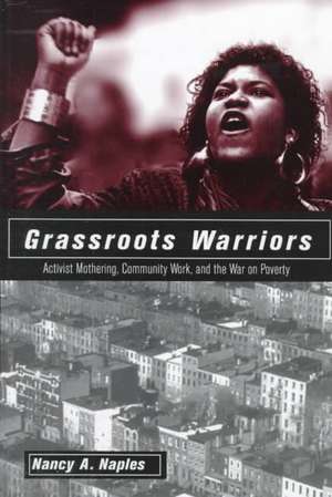 Grassroots Warriors: Activist Mothering, Community Work, and the War on Poverty de Nancy A. Naples