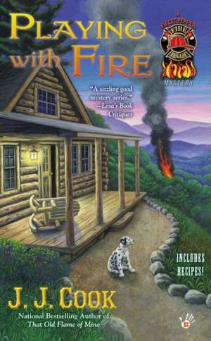 Playing with Fire de J. J. Cook