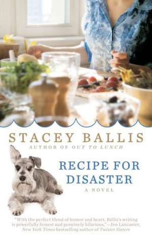 Recipe for Disaster de Stacey Ballis