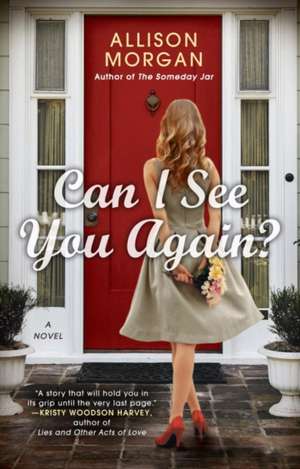 Can I See You Again? de Allison Morgan