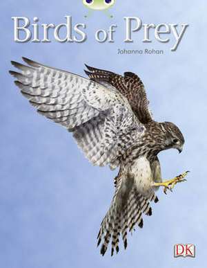 Bug Club Independent Non Fiction Year Two White A Birds of Prey de Johanna Rohan