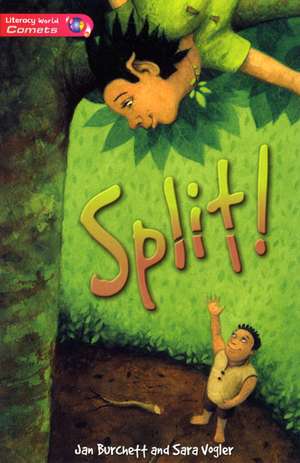 Literacy World Comets Stage 2 Novel Split de Jan Burchett