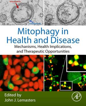 Mitophagy in Health and Disease: Mechanisms, Health Implications, and Therapeutic Opportunities de John J. Lemasters