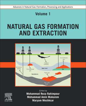 Advances in Natural Gas: Formation, Processing and Applications. Volume 1: Natural Gas Formation and Extraction de Mohammad Reza Rahimpour