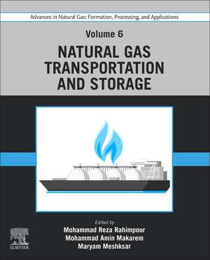 Advances in Natural Gas: Formation, Processing, and Applications. Volume 6: Natural Gas Transportation and Storage de Mohammad Reza Rahimpour