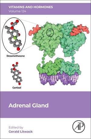 Adrenal Gland de Gerald Litwack