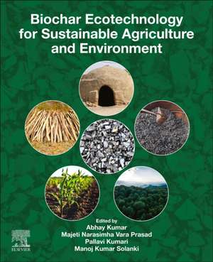 Biochar Ecotechnology for Sustainable Agriculture and Environment de Abhay Kumar