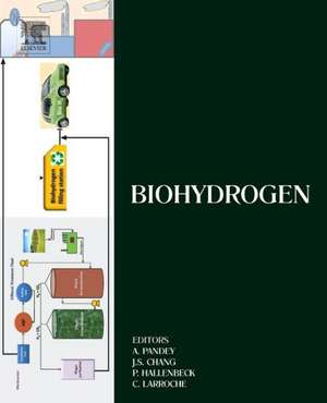 Biohydrogen de Ashok Pandey