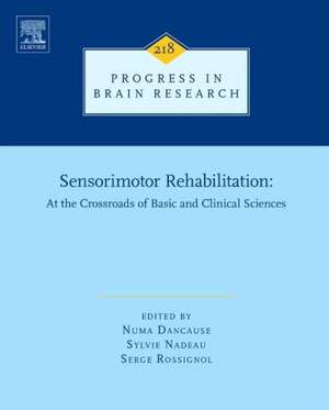 Sensorimotor Rehabilitation: At the Crossroads of Basic and Clinical Sciences de Numa Dancause