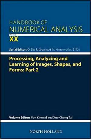 Processing, Analyzing and Learning of Images, Shapes, and Forms: Part 2 de Ron Kimmel