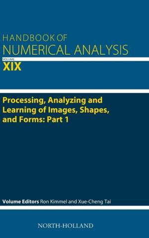 Processing, Analyzing and Learning of Images, Shapes, and Forms: Part 1 de Ron Kimmel