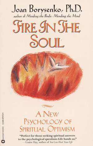 Fire in the Soul: A New Psychology of Spiritual optimism de Joan Borysenko