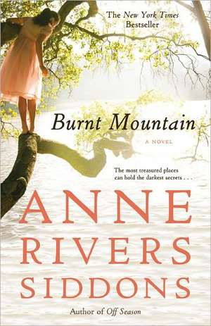 Burnt Mountain de Anne Rivers Siddons
