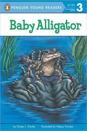 Baby Alligator de Ginjer L. Clarke