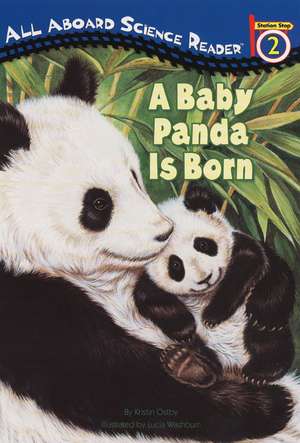 A Baby Panda Is Born de Kristin Ostby