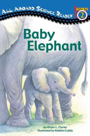 Baby Elephant de Ginjer L. Clarke