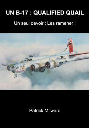 Un B-17 de Patrick Milward