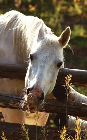 Kids Petite Equine Leftie Journal de Jordan Wunderlich