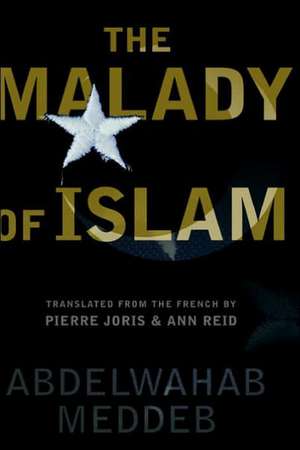 The Malady Of Islam de Abdelwahab Meddeb