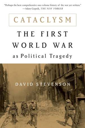 Cataclysm: The First World War as Political Tragedy de David Stevenson