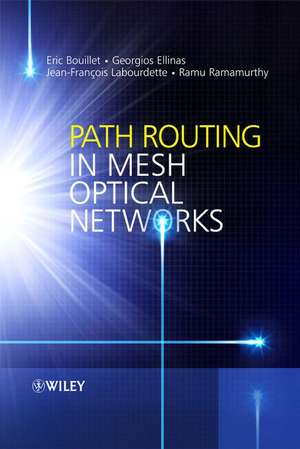 Path Routing in Mesh Optical Networks de Eric Bouillet