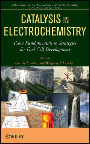 Catalysis in Electrochemistry – From Fundamentals to Strategies for Fuel Cell Development de E Santos