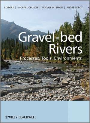 Gravel–bed Rivers – Processes, Tools, Environments de M Church