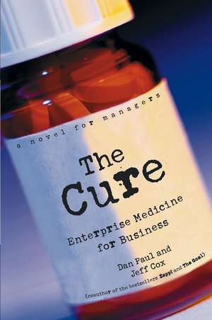 The Cure – Enterprise Medicine for Business A Novel for Managers de Paul