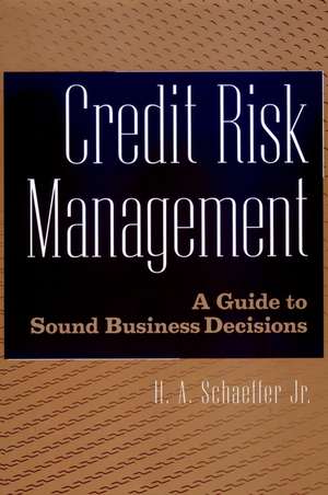 Credit Risk Management – A Guide to Sound Business Decisions de HA Schaeffer