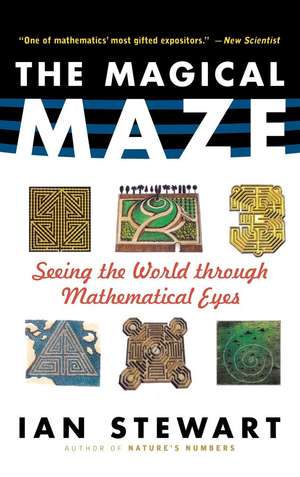 The Magical Maze: Seeing the World Through Mathematical Eyes de Ian Stewart