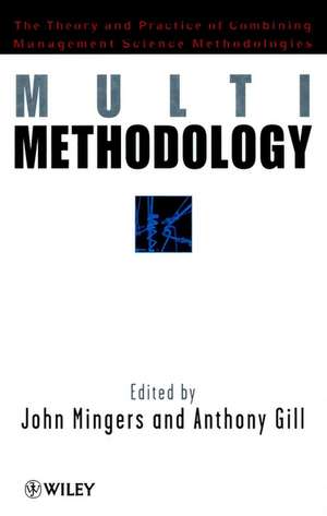 Multimethodology de Mingers
