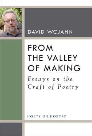 From the Valley of Making: Essays on the Craft of Poetry de David Wojahn